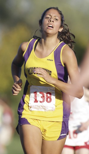 MAC cross country meet